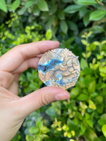 Labradorite Animal Kingdom Mystery Bag