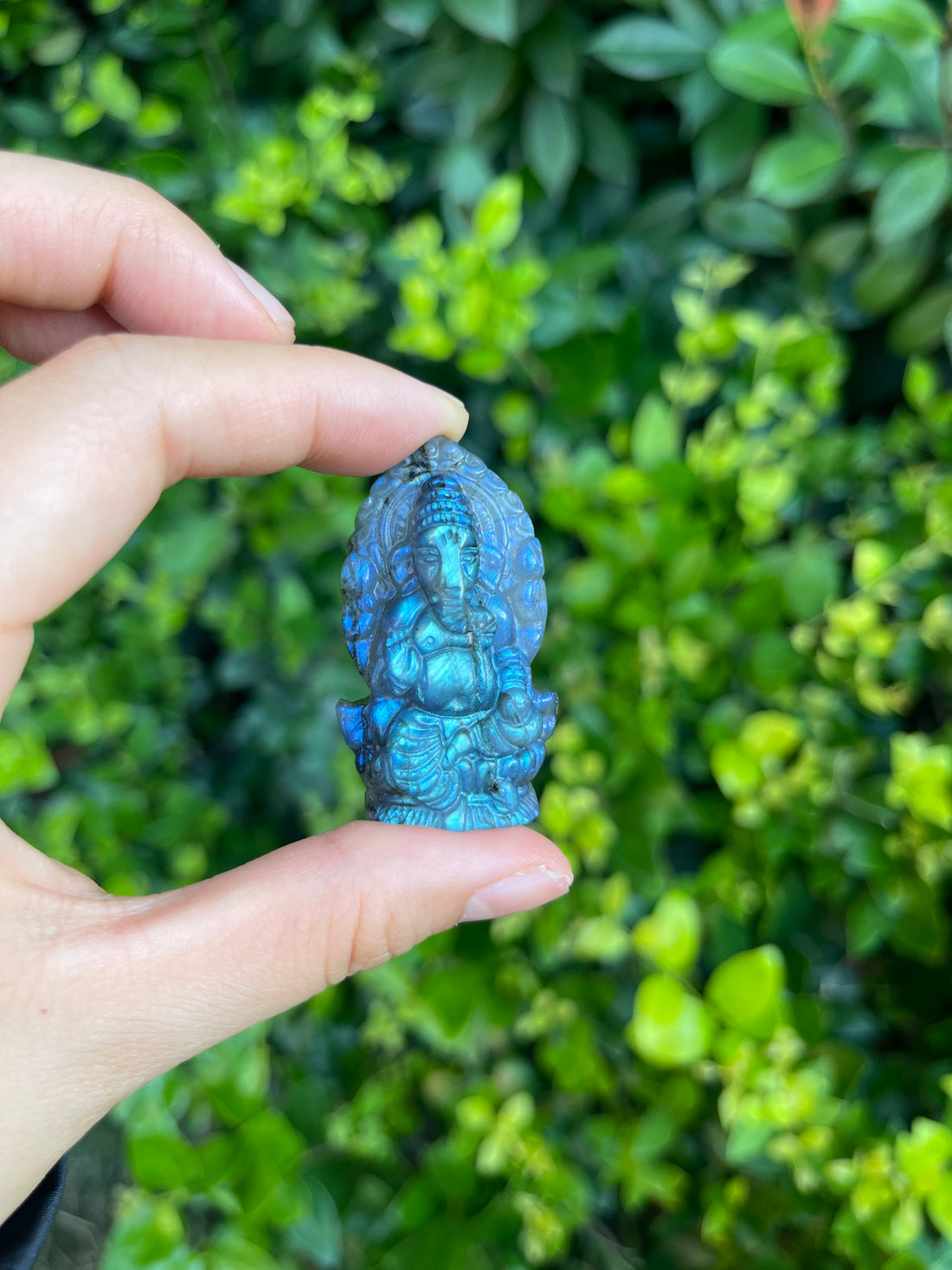 Labradorite Animal Kingdom Mystery Bag