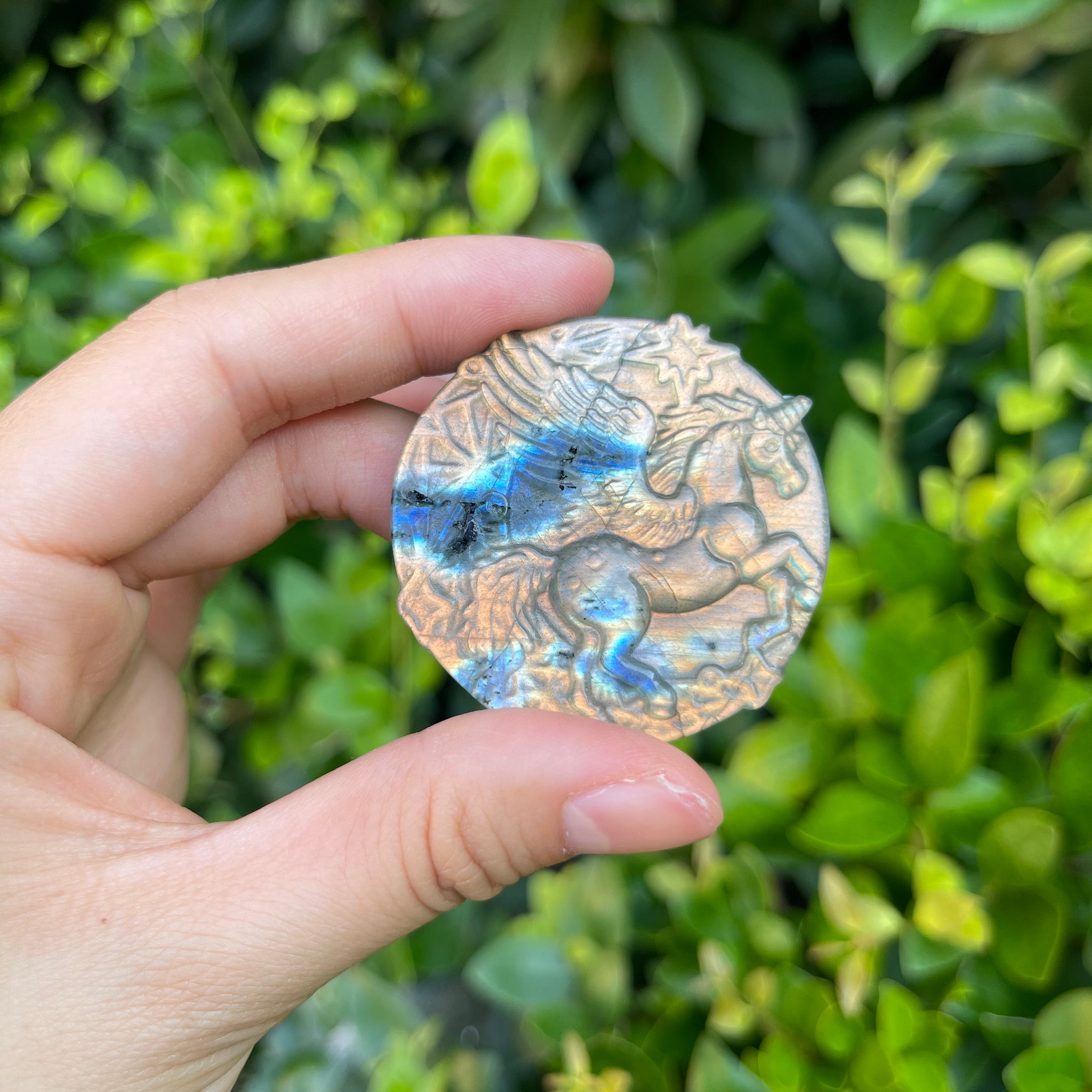 Labradorite Animal Kingdom Mystery Bag